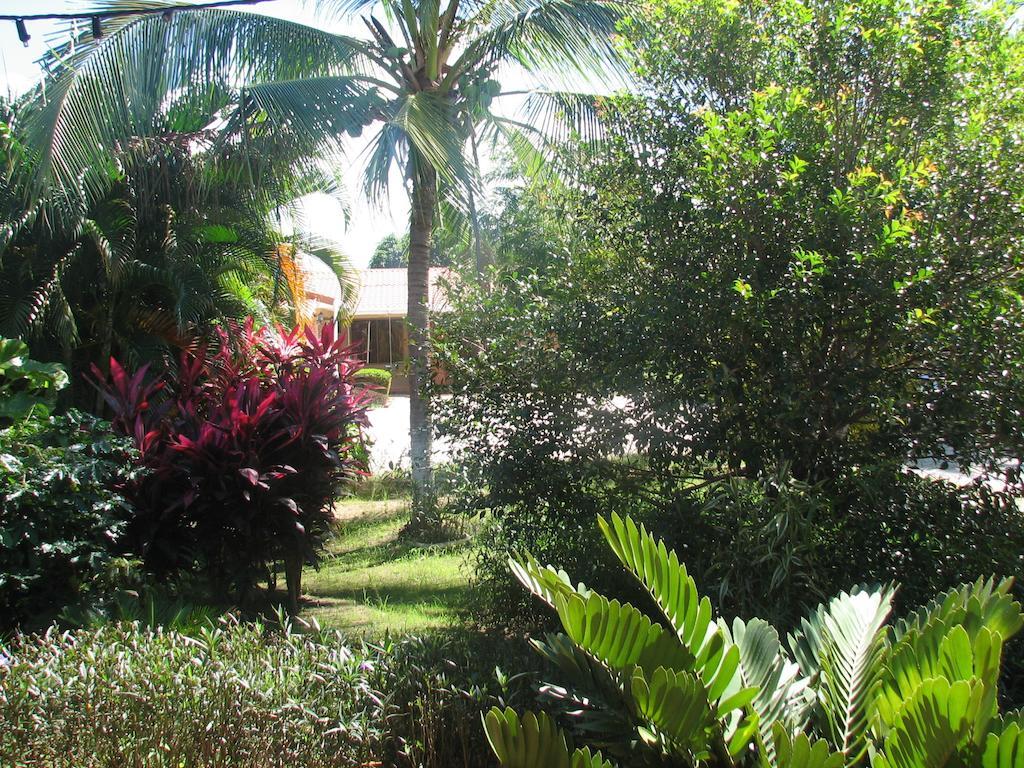Hotel La Arena Liberia Luaran gambar