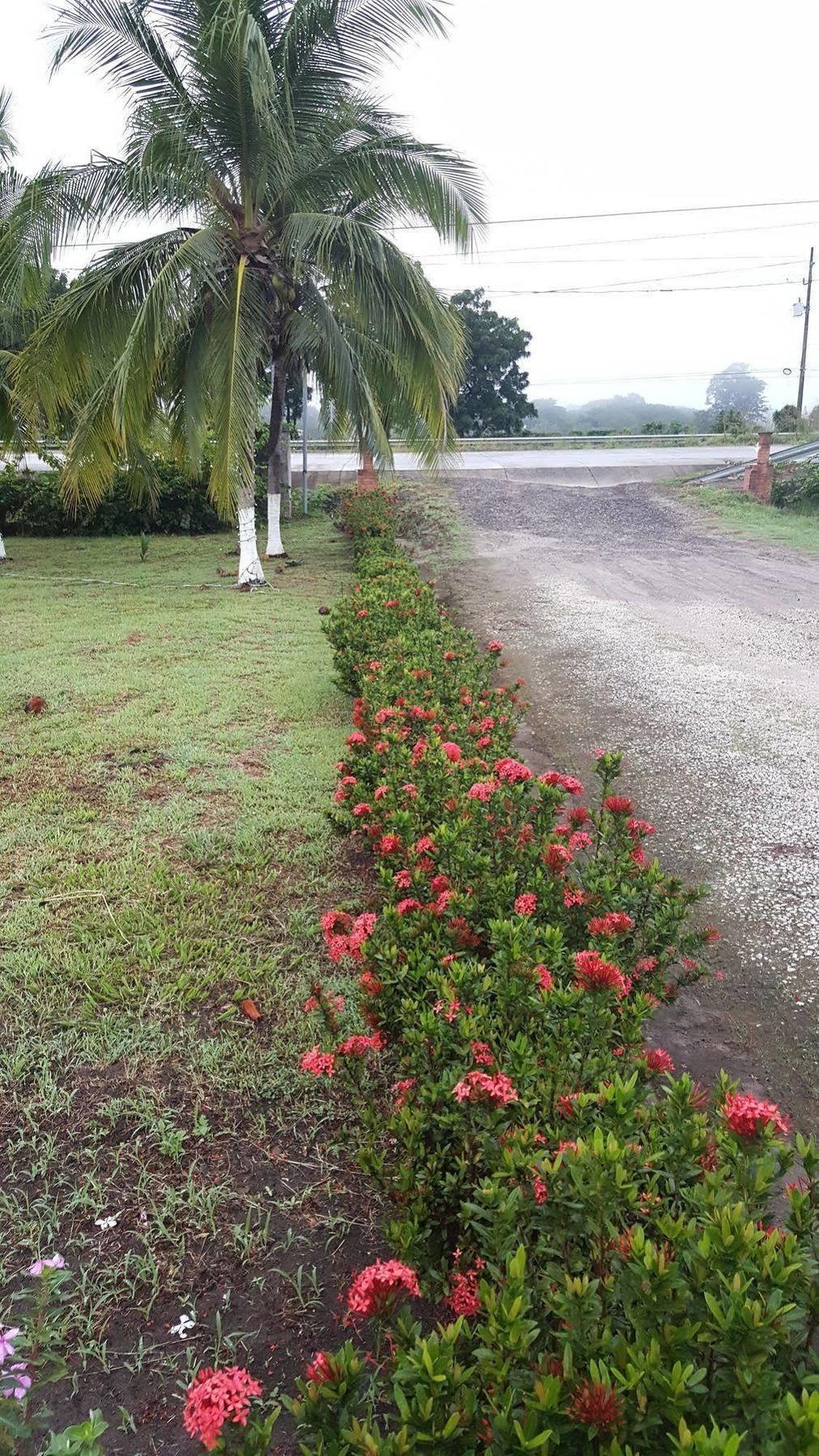 Hotel La Arena Liberia Luaran gambar